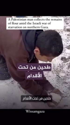 Nur Fazura Instagram - A Palestinian boy collects what remained of flour off the ground in the north of Gaza Strip!!