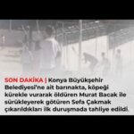 Oğuzhan Uğur Instagram - Konuyla ilgili düşüncelerimi yazmak istedim. (Yazıyı okuyup yorumlara bakarken, yazıyı okumadan yorum yapanlara rastlayacaksınız, aldırmayın. Onlar üzgün ve kızgın sloganlar atıp dağılacaklar. dedim ya, herkesss burada…