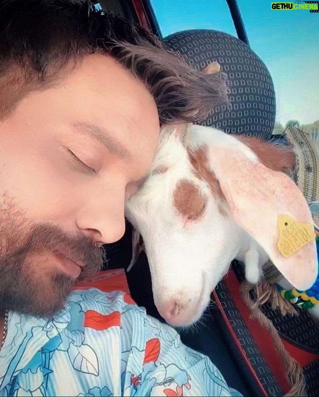 Oğuzhan Uğur Instagram - Bayram namazında öndeki dedeyi taklit eden genç, kurban etiyle rakı içilir mi diye soran dayı, duruma komple karşı vegan, el öperek topladığı parayı abisine, ablasına kaptıran çocuk, tüm sülalesini tek dobloya sığdıran mangal enişte ve fazlası; Bayramınız mübarek olsun ❤️ (Geleneksel bayram fotomuz 🙏🏻)
