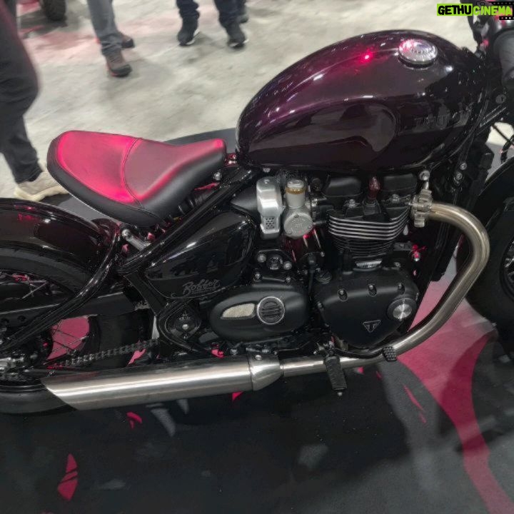Oliver Phelps Instagram - Soooo many beautiful bikes at @motorcyclelive 😍 #mvagusta #triumphmotorcycles #royalenfield #bmwmotorrad #ducati #indianmotorcycle