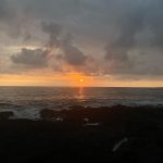 Olivia Holt Instagram - good fishing, good food, cold beer Kona, Hawaii
