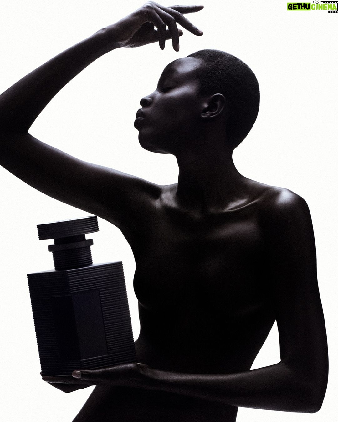 Olivier Rousteing Instagram - It’s more than a new Chapter , it’s a new book we are writing together. Life is about discovering new universes , Beauty had always been part of my life , creating this with all the incredible team was a dream come true. I can’t wait for you to discover all the hard work and the quality of what we have done. It’s a new beginning, a new era , the new Balmain history to write all together. Love you @balmainbeauty