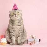 Omar Sy Instagram - ¡Feliz cumpleaños a mi amiga Kerry, con quien compartir en el trabajo y en la vida real es una alegría y un enriquecimiento en todo momento! ¡Le deseo todo lo mejor y más! (Con Gatos 😂😂)