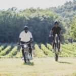 Omar Sy Instagram - Summer biking memories with my bro @jr captured by @justinweiler ✌🏿