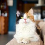 Onur Tuna Instagram - bu bi değişik çıktı