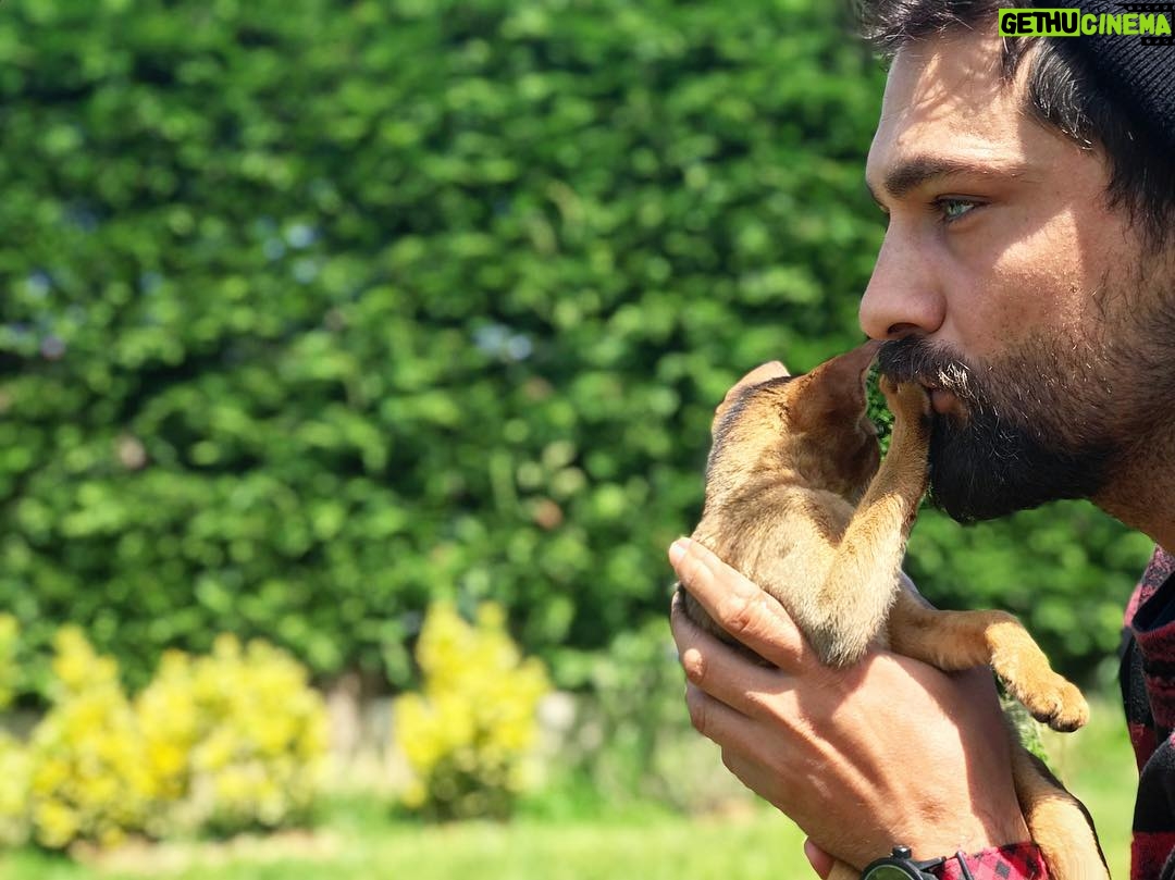 Onur Tuna Instagram - An itibariyle hayat devam ediyor..