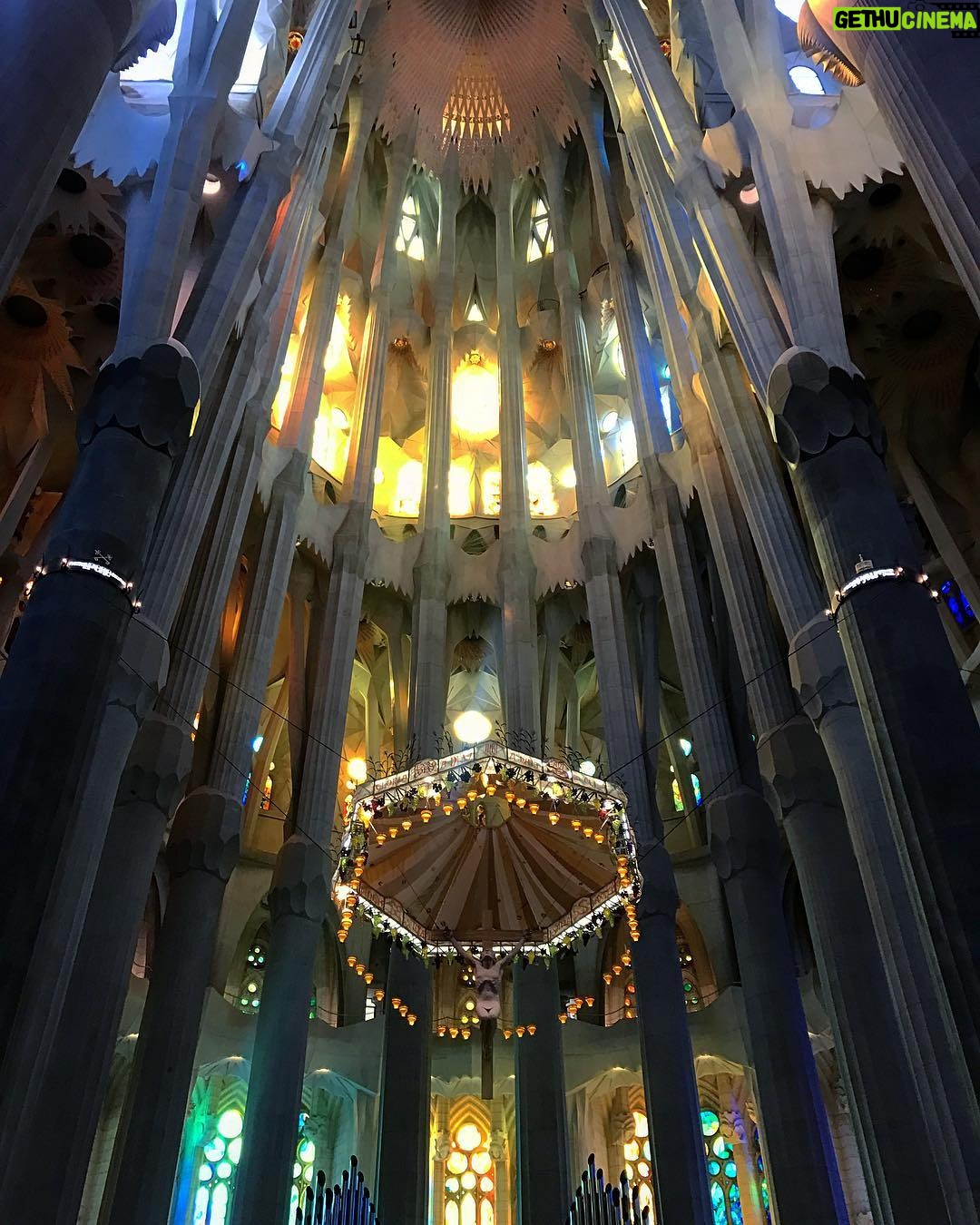 Onur Tuna Instagram - Antoni Gaudi'nin tramvay çarparak öldüğünü duyduğumda şok oldum. Kendini tramvayı kullanan adamın yerine koysana bi... adama çarptın indin...ve Gaudi?