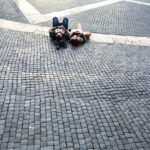 Onur Tuna Instagram - Walking dead
