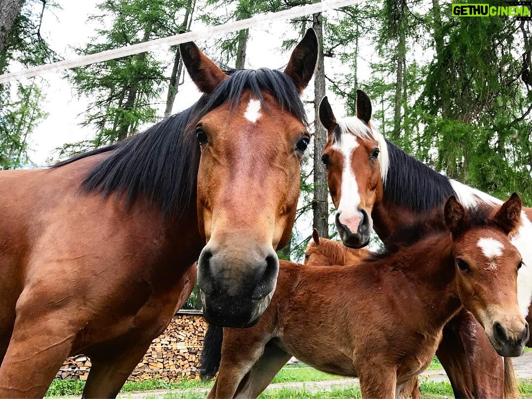 Onur Tuna Instagram - Family portrait Switzerland