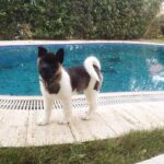 Onur Tuna Instagram - Şaryo toprağa bastı sonunda