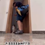 Oussama Ramzi Instagram - القطوط ماشي انت اللي كتربيهم هوما اللي كيربيوك