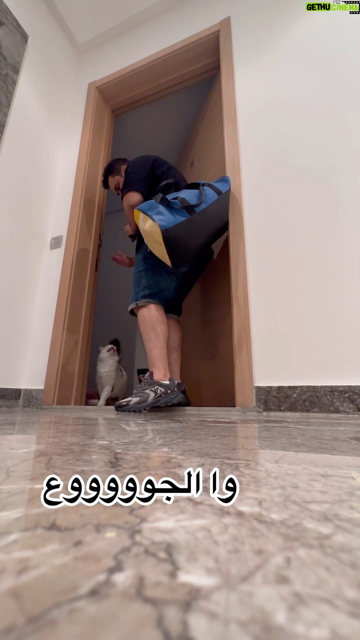 Oussama Ramzi Instagram - القطوط ماشي انت اللي كتربيهم هوما اللي كيربيوك
