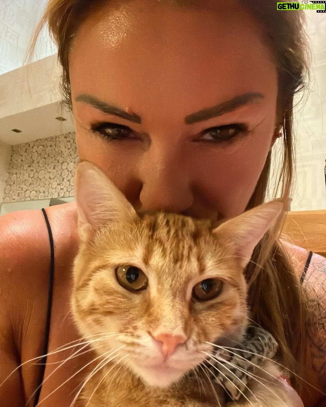 Pınar Altuğ Instagram - Bugün hayatımıza gireli tam 1 sene oldu❤️❤️iyi ki geldin #Nohut
