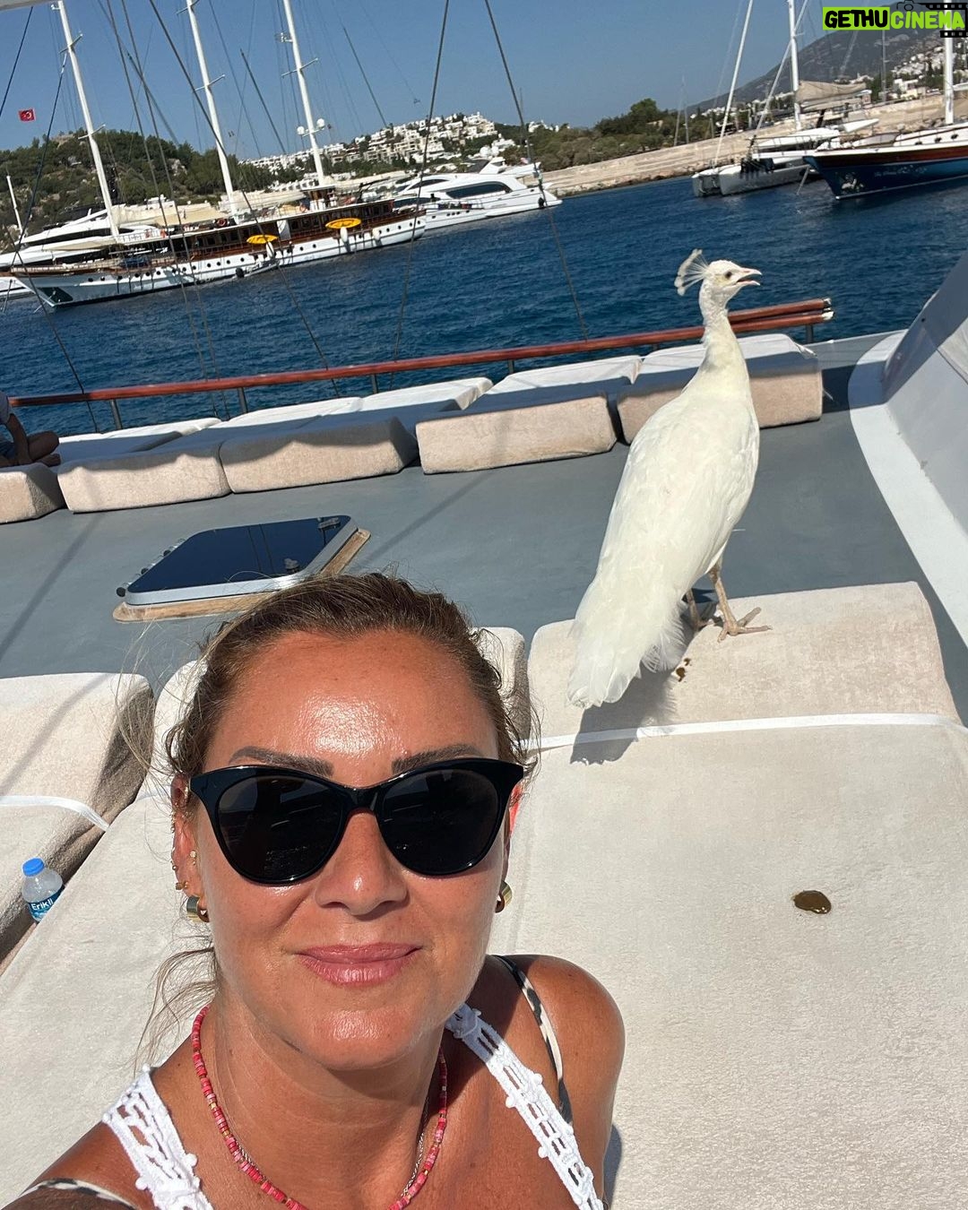 Pınar Altuğ Instagram - Çoookkk ama çoookkk güzel bir haftaydı❤️❤️ @yaamuratacan @zdengizman @sarpdengizman @ulkuoralozdemir @aykut.ozdemir.2301 @doadenizer @ozdemir_onur2 @demirdengizman @derind123 @atacan_su #Mert #Mini #QuestaVita Ege Denizi