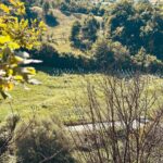 Pınar Deniz Instagram – Sarajevo 23’