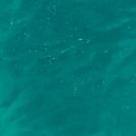 Pınar Deniz Instagram - Yaz fotolarım ve tatilim bitti sanıyorsanız yanılıyorsunuz🐬 Amalfi