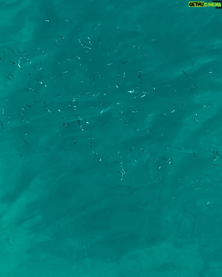 Pınar Deniz Instagram - Yaz fotolarım ve tatilim bitti sanıyorsanız yanılıyorsunuz🐬 Amalfi