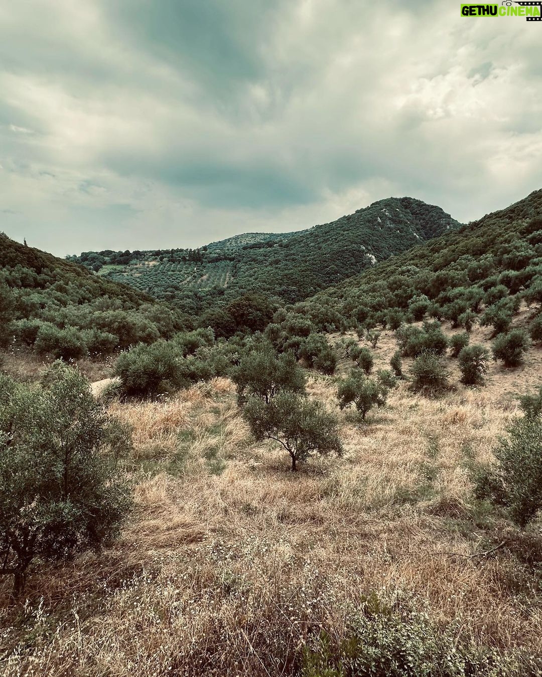 Pınar Deniz Instagram - Road trip. #grecee🇬🇷 Navarino, greece