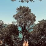 Pınar Deniz Instagram - Yaz 23’