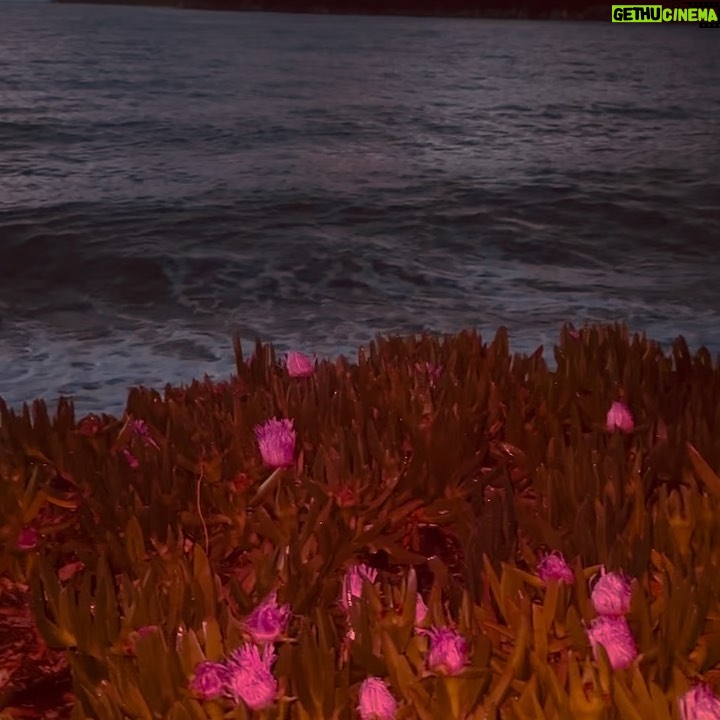 Pınar Deniz Instagram - Bugün de Japon uyandım🌺