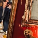 Pınar Deniz Instagram - I can feel you Brad 🚽