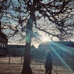 Pınar Deniz Instagram – 1.2.23’ Copenhagen. Slotsholmen