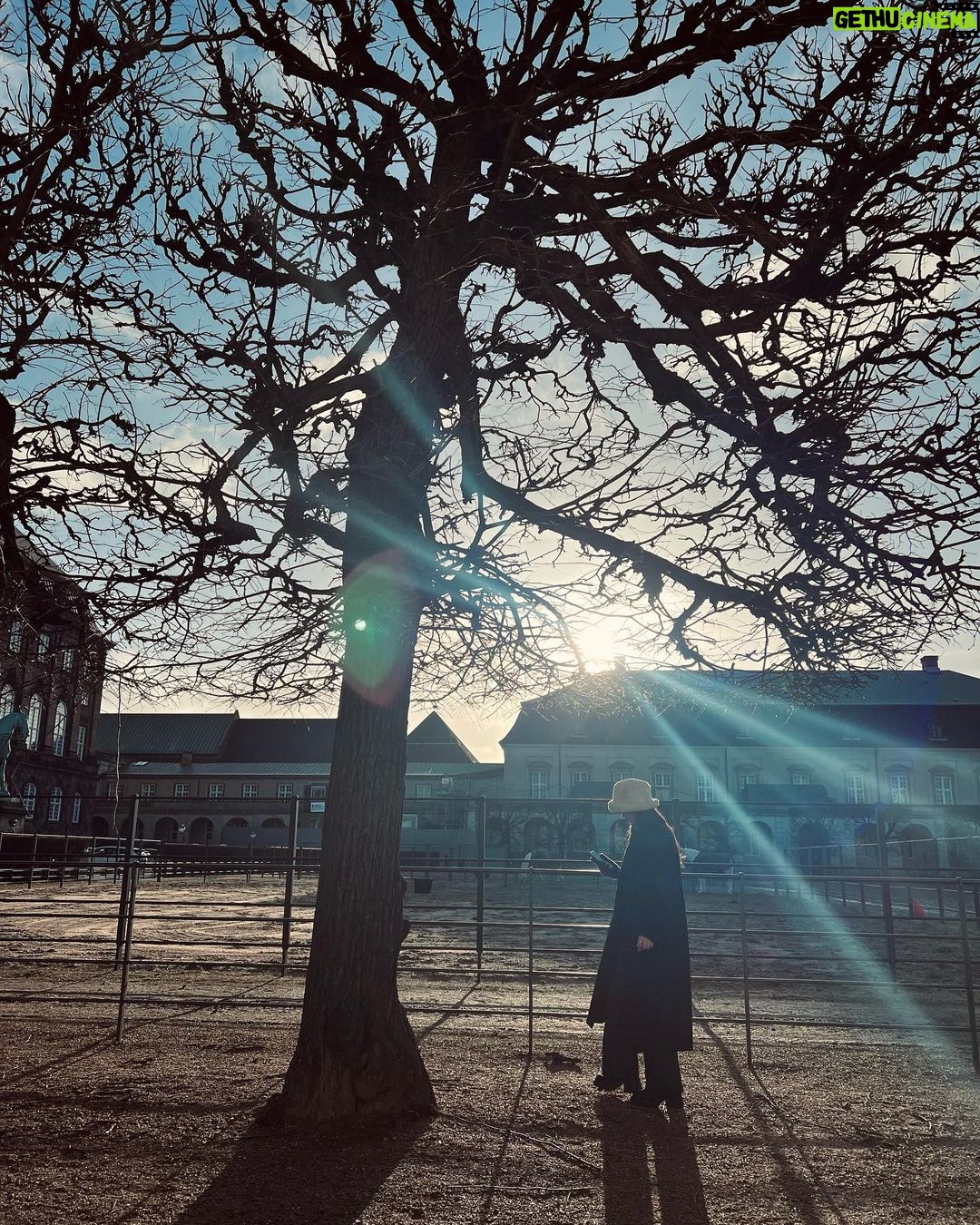 Pınar Deniz Instagram - 1.2.23’ Copenhagen. Slotsholmen