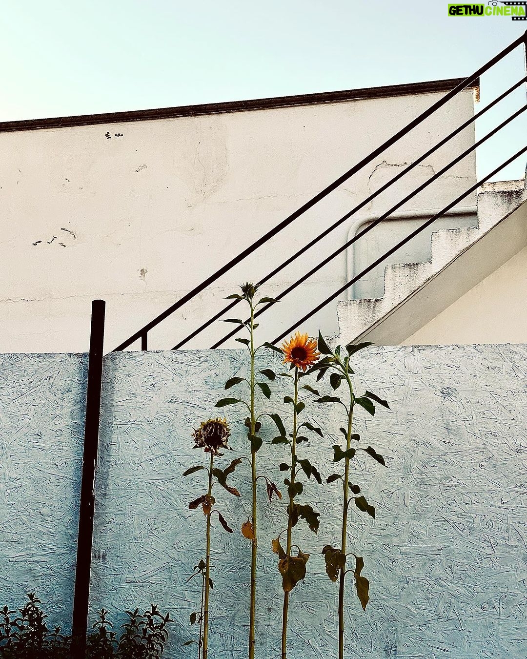 Pınar Deniz Instagram - Yaz 23’ Italy. Puglia