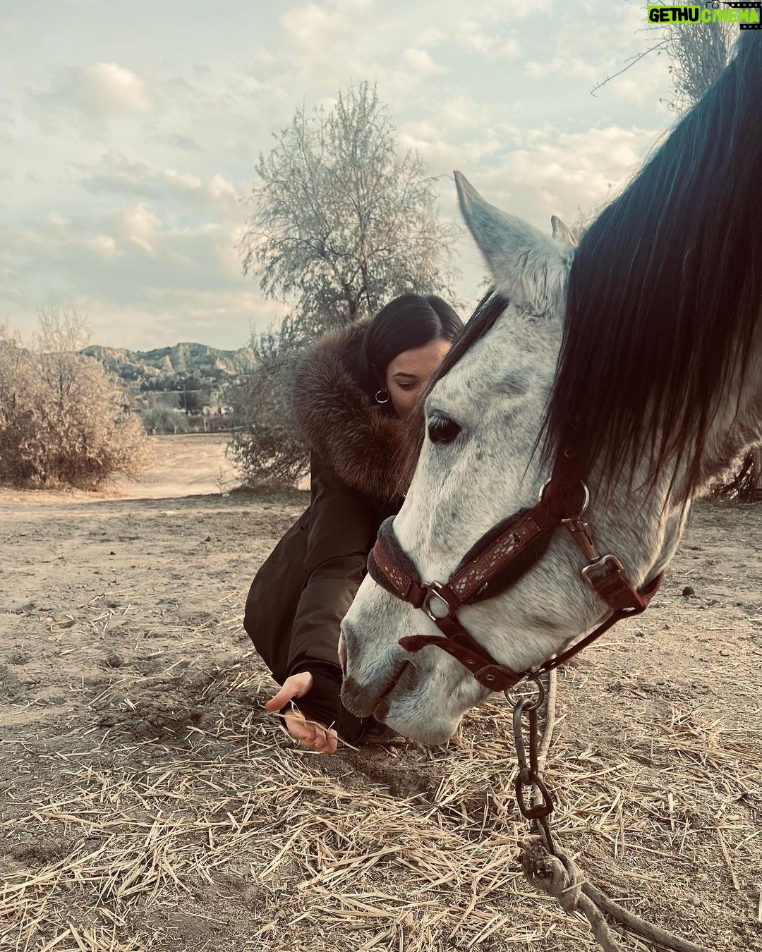 Pınar Deniz Instagram - Şehirlerarası. Yargı Kapadokya’da idi🌹#mazi