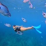 Paga Instagram – À très vite 🌺🏝️🫶🏼 

@vitamin_sea_mauritius 🐬🐠🩵
Invitation – contenu spontané Mauritius Island