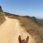 Paige Instagram - Had so much fun getting back on a horse again. It’s been years and I missed it alot! 🥹 Thanks to @taylorey and @raquellie arranging it! A lovely surprise 💛 Sunset Ranch Hollywood