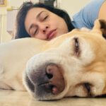 Pakhi Hegde Instagram – I love u my Leo, to the moon n back 🥰
#nowords
I jus pray to god to give me u in every life❤️🥰 #leohegde #love #blessings to have u in our life 🥰
I have ur back, no matter what! Love u Leo! Happy 8 years of pure n selfless love ❤️ !