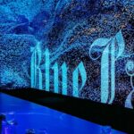 Pakorn Thanasrivanitchai Instagram - Checked out the stunning well-decorated and enchanting atmosphere in the Johnnie Walker Depth of Blue Room. 💙Experienced the Johnnie Walker Blue Label Limited Edition, a collaboration with James Jean in this Lunar New Year. . #JWBlueLabel #DepthofBlueBKK #DrinkResponsibly Park Hyatt Bangkok