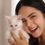 Palak Sindhwani Instagram - Bella Morning to you guys!! 🐱🧿🤍 I was shooting for a campaign 2 days ago and my little bundle of joy Bella came running to me and started playing, so we managed to click a few pictures with her haha!! ☺️ Captured by - @vaishnavcreation #goodmorning #bella #petlover #fyp #instamood #love #purelove #joy #instalove #palaksindhwani #blessed