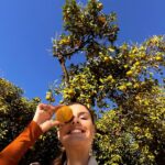 Paloma Bernardi Instagram - SEVILLA onde a cor mais quente é LARANJA 🍊🍁🍂✨🍁🍂🍊✨🍁 @mimo_viagens #andalucia @mayte.scaravelli 🇪🇸 #Espanha Sevilla, Andalucía- España