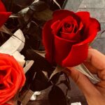 Paloma Bernardi Instagram - A vida acontecendo com ela…→ Ela que tem sido meu braço direito e esquerdo, ela que tem rosas por onde passa, ela que fecha a cara às vezes e tá tuuuudo bem, ela que é Zico na veia 24h, ela que te aconselha sem passar a mão na cabeça, ela que tem talento no olhar, ela que é arretada com um coração grande…ela que é ela…ela que é @adrilimaa (melhor que muita gente)!rs… Maaaaaaa Dri, Feliz Aniversário!Te desejo paz, amor, saúde, felicidade, alegria, arte! E saiba que estarei sempre aqui pra tudo e principalmente pra te dizer: “Bora, se arruma!!!” … Bora ser feliz!! Saiba que somos mais felizes com a vida acontecendo ao seu lado, minha amiga!🌹 Rio de Janeiro, Rio de Janeiro