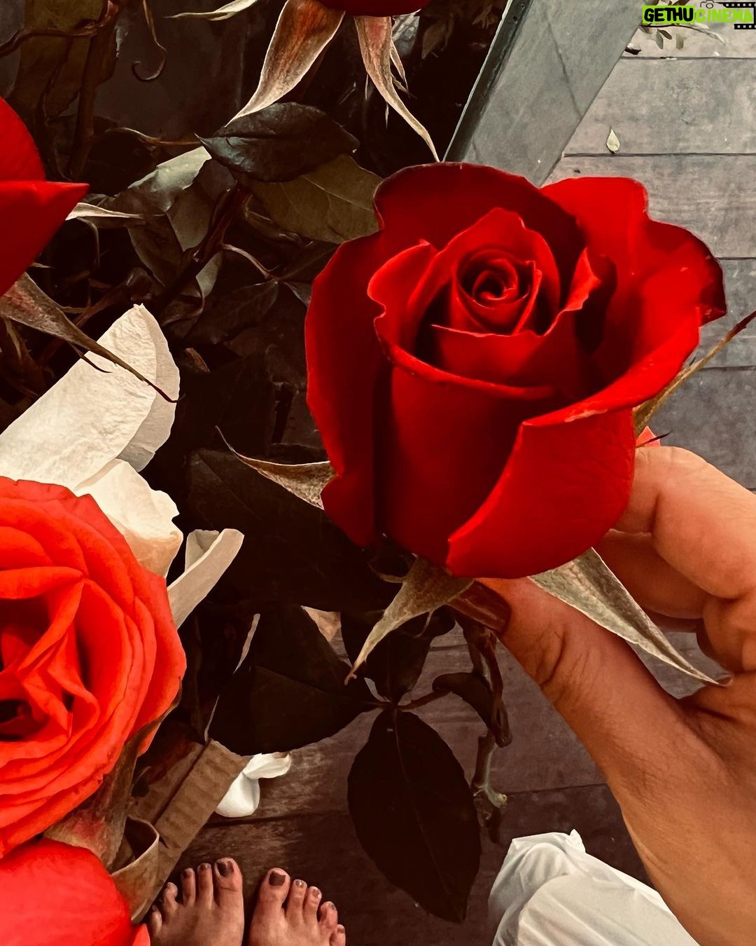 Paloma Bernardi Instagram - A vida acontecendo com ela…→ Ela que tem sido meu braço direito e esquerdo, ela que tem rosas por onde passa, ela que fecha a cara às vezes e tá tuuuudo bem, ela que é Zico na veia 24h, ela que te aconselha sem passar a mão na cabeça, ela que tem talento no olhar, ela que é arretada com um coração grande…ela que é ela…ela que é @adrilimaa (melhor que muita gente)!rs… Maaaaaaa Dri, Feliz Aniversário!Te desejo paz, amor, saúde, felicidade, alegria, arte! E saiba que estarei sempre aqui pra tudo e principalmente pra te dizer: “Bora, se arruma!!!” … Bora ser feliz!! Saiba que somos mais felizes com a vida acontecendo ao seu lado, minha amiga!🌹 Rio de Janeiro, Rio de Janeiro