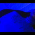 Paloma Mami Instagram – ❤️🩹🛸 COSAS DE LA VIDA ❤️🩹🛸 YA ESTÁ AFUERAAA ‼️ Esta canción es muy especial para mi…espero que se pueda transmitir todo el amor que le metí🕯