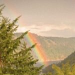 Pamela Anderson Instagram - For those still stuck in the rain, The sun will return - It’s a promise - and nature’s painting of love, acceptance and beauty