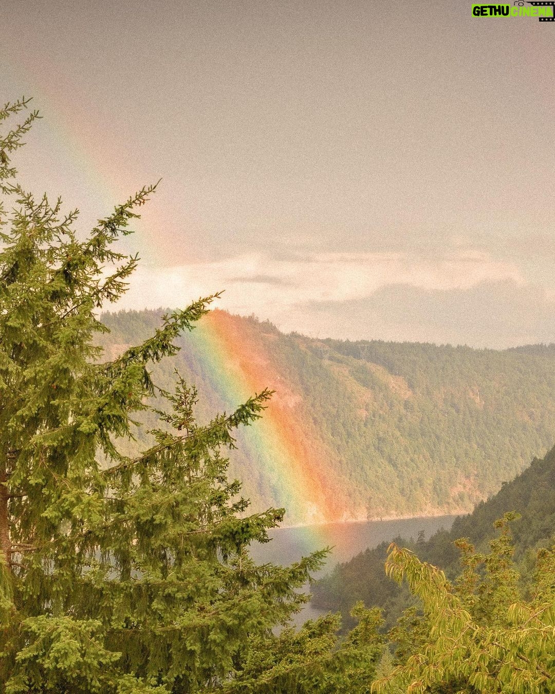Pamela Anderson Instagram - For those still stuck in the rain, The sun will return - It’s a promise - and nature’s painting of love, acceptance and beauty