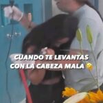 Pamela Díaz Instagram - Peopleeee les ha pasado? Jajajajjaja seré we0n@ Ajjajajajjajaja 🤣🤣🤣🤣🤣 @labototafox @tierrabrava13 @canal13cl