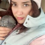 Parinaz Izadyar Instagram - مظلوم و وحشتزده افتاده بود روی زمین ، نمیتونست پرواز کنه 🕊 پ ن : از کنار حیوانات آسیب دیده و گرسنه راحت رد نشیم 🙏🏻 #با_حیوانات_مهربان_باشیم