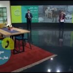 Parinaz Izadyar Instagram - خیانت شهرداری به حیوانات و حامیان آنها اخبار حیوان آزاری در مجموعه شهرداری تهران و زیر نظر مسئولین مربوطه؛ برای هیچ کدام ما تازگی ندارد، ما هنرمندان حامی محیط زیست و حقوق حیوانات، هرگونه جنایتی علیه حیوانات که منجر به آزردگی اذهان عمومی می شود را شدیدا محکوم می کنیم. ما سنگسار توله خرس بی گناه سواد کوه، مرگ پلنگ ارزشمند ایرانی –کاوه- را عمیقا محکوم کرده و اعلام می کنیم که ما عاشق آب و خاک سرزمینمان هستیم و می خواهیم که تمامی هموطنان مان در آرامش؛ شادمانی و امنیت زندگی کنند. هموطنان ما تنها انسان ها نیستند هرگیاه و هرغزال؛ هر پرنده مهاجری که از سفری طولانی به این خاک بازمی گردد هموطن ماست. آب و خاک این سرزمین متعلق به همه ماست وهمه ما باید برای حفظ و بهتر شدن آن تلاش کنیم. امروز شاهدیم چگونه بعضی با کهنه جلوه دادن این موضوع در تلاشند که آن را بی اهمیت انگارند، اما جنایت کهنه نمی شود و فراموش نیز هم. اکنون همگی ما با قلبی شکسته به استقبال عید می رویم، به استقبال عیدی که امامش جانشین پیامبر جز از مروت و گذشت با مخلوقات خدا سخن نگفت. اکنون نه فقط وظیفه انسانی بلکه وظیفه شرعی ماست که از پا ننشینیم تا دیگر مخلوقی آزار نبیند و انسانیتی از دیدن رنج آزرده نشود. به صحبت های سپهرسلیمی فعال حقوق حیوانات که به ظرائف خاصی اشاره می کند و عقیم سازی را به جای کشتار برمی گزیند گوش بسپاریم و فراموش نکنیم که از امیرالمومنین(ع) در نهج البلاغه، نقل شده است: سمعت رسول الله(ص) یقول: ایاکم والمثله ولو بالکلب العقور؛ پیامبر(ص) مى فرمود: مبادا چیزى را ـ ـ مثله کنید ولو سگ هار باشد. پ‌ن: متن کامل این بیانیه هنرمندان را حتما در شرق بخوانید. متن کامل برنامه شبکه سه را حتما در آپارات ببینید.