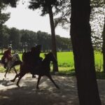 Parinaz Izadyar Instagram - جیران🏇 سلمان🏇 پشت_صحنه_سریال_جیران 📹 @bardiamahisefat