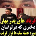 Parinaz Izadyar Instagram - كنار حيوانات زندگى كردن و نگهدارى از اونها مثل رانندگى و خيلى چيزهاى ديگه ... نياز به داشتن فرهنگ داره ، متاسفم كه انسانهايى كوته فكر و بى وجدان به خاطر رعايت نكردن اصول اوليه نگهدارى از سگ در خيابان ( قلاده ) مسبب همچين فاجعه اى شدن 😔 پ ن ١ : اميدوارم بهار نازنين هر چه زودتر سلامتيش رو به دست بياره 🌹❤️ پ ن ٢ : استفاده از قلاده براى سگ ( از هر نژادى ) مرسوم و قانونى هست پ ن ٣ : اميدوارم اين حادثه ى دلخراش بهانه اى براى سو استفاده ى بعضى از شهرداريها نشه 🙏