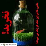 Parinaz Izadyar Instagram - 🔺لطفا كپشن مطالعه شود🙏 #Repost @sepehrsalimi with @get_repost ・・・ چند وقتی است بطری های کوچک با یک یا چند ماهی در بسیاری فروشگاه ها از سوپرمارکت تا کتابفروشی و گلفروشی دیده می شود. ماهی های زیبا زبرا قرمز در این تنگ های بسیار کوچک همچون اسباب بازی یا کالایی بی جان به فروش می روند. این ماهی ها همچون همه موجودات زنده به شرایط محیطی خاص خود نیاز دارند, در این فضای کوچک و در معرض تنش های دمایی, نوری, صوتی و عوامل میکروبی و کمبود اکسیژن خواهند مرد. این ماهی ها در شرایط طبیعی بسیار پرجنب و جوش هستند و بصورت گروهی حرکت می کنند و حبس کردن آنها در چنین فضایی کوچک ظلم مسلم است. برای دسته های پنج تایی به چهل لیتر آب نیاز دارند و این در حالیست که در این شیشه ها مقدار آب به نیم لیتر هم نمی رسد. این ماهی ها در شرایط عادی تا پنج سال عمر خواهند کرد اما در این شرایط خیلی سریع خواهند مرد. ظاهرا تولیدکنندگان این بطری های مرگ در حال برنامه ریزی برای فروش وسیع اینها به عنوان هدیه ولنتاین هستند. هدیه ای که شاید عمرش از هر عشقی کوتاهتر باشد. اگر جلوی این انحراف حیوان ستیزانه عده ای فرصت طلب گرفته نشود باید منتظر مرگ و میر چند میلیونی این موجودات زنده باشیم. لطفا نخرید. به دوست و اقوام و آشنایانتان خبر دهید از این تجارت ظالمانه حمایت نکنند و هر کجا که دیدید به فروشندگان و خریداران در خصوص غیر اخلاقی بودن این کار تذکر دهند. . #ماهی_زبرا #ماهی_دانیو #ماهی_گورخری #حقوق_حیوانات #حق_زندگی #ولنتاین #عشق #بطری_مرگ #هدیه_عشق #ماهی #زبرا #وجدان #پلنتاریوم