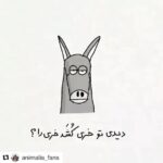 Parinaz Izadyar Instagram - #Repost @animalia_fans with @get_repost ・・・ اثر هنري گروه @bakterixaan_makichi @charkhznan ديدى تو خرى شكسته پيمان !؟ يا آنكه ز ديگرى برد نان !؟