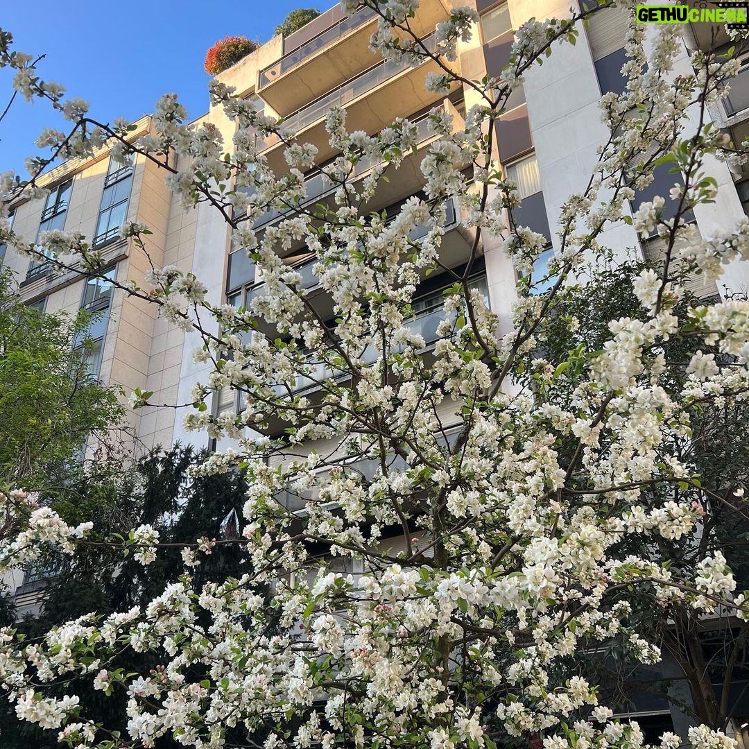 Park Bo-gum Instagram - Un pas en avant, deux pas en arrière🧡 Paris, France