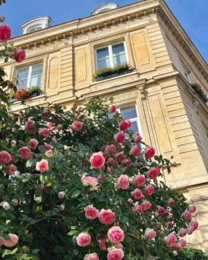 Park Bo-gum Instagram - Le jardin secret de Proust🪴
