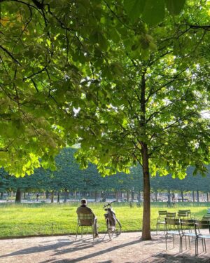 Park Bo-gum Instagram - Le jardin secret de Proust🪴